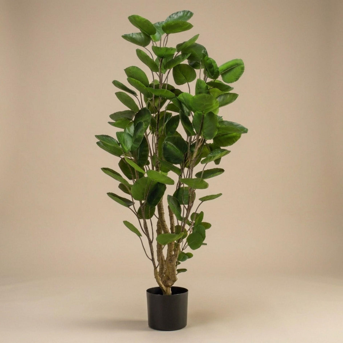 Kunst-Polyscias-Baum, ca. 105 cm – Produktfoto