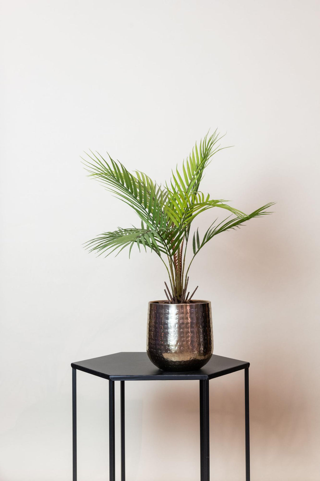 Kunst-Bergpalme, ca. 50 cm – Ansicht 5