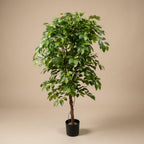 Künstlicher Ficus »Deluxe Vine«, ca. 140 cm – Ansicht 4
