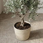 Pflanzkorb Selin, Ø 22 cm – Ansicht 5