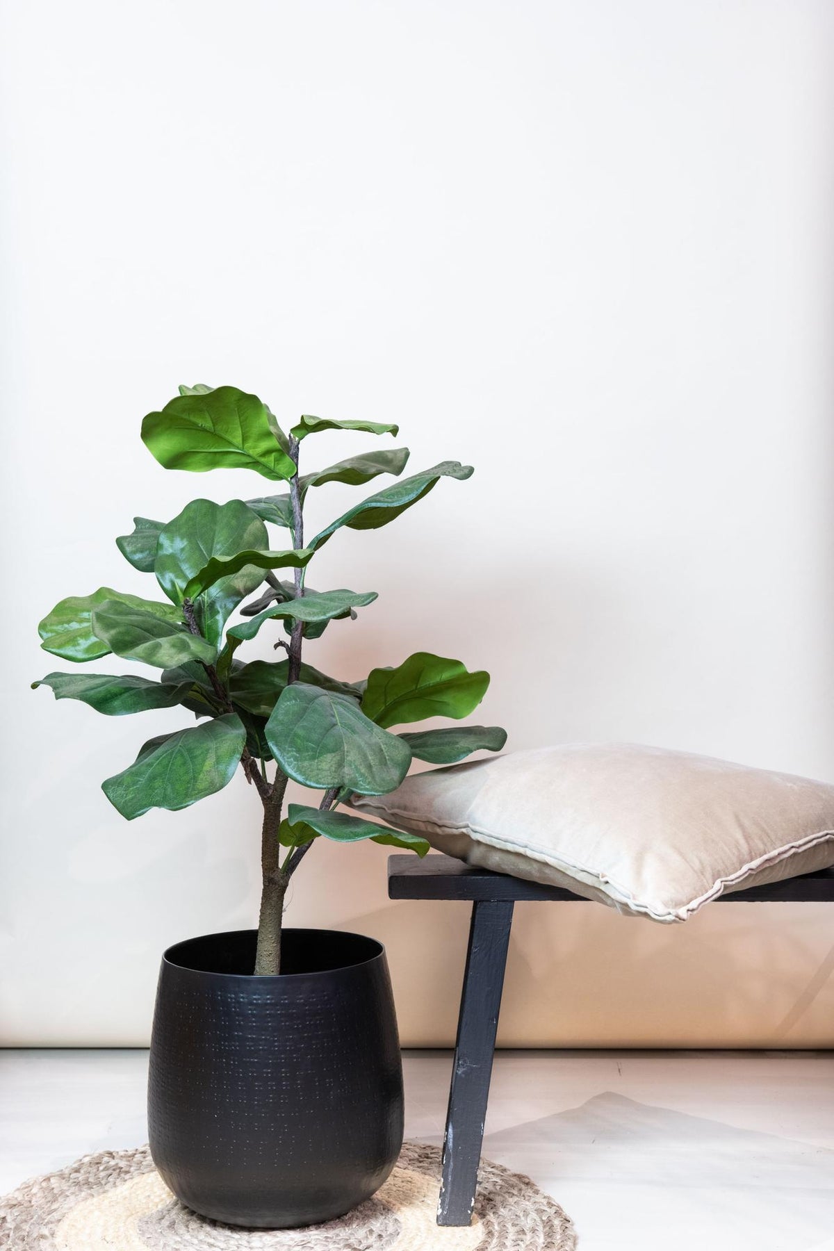 Kunst-Geigenfeige Ficus Lyrata, ca. 90 cm – Ansicht 5