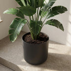 Übertopf elho B.for soft Anthrazit, Ø 14 cm – Ansicht 6