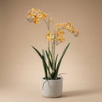 Künstliche Renanthera-Orchidee im Topf, ca. 56 cm, Gelb-Orange – Produktfoto