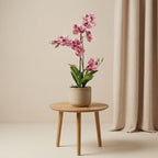 Künstliche Vanda-Orchidee, Altrosa, ca. 60 cm – weitere Ansicht