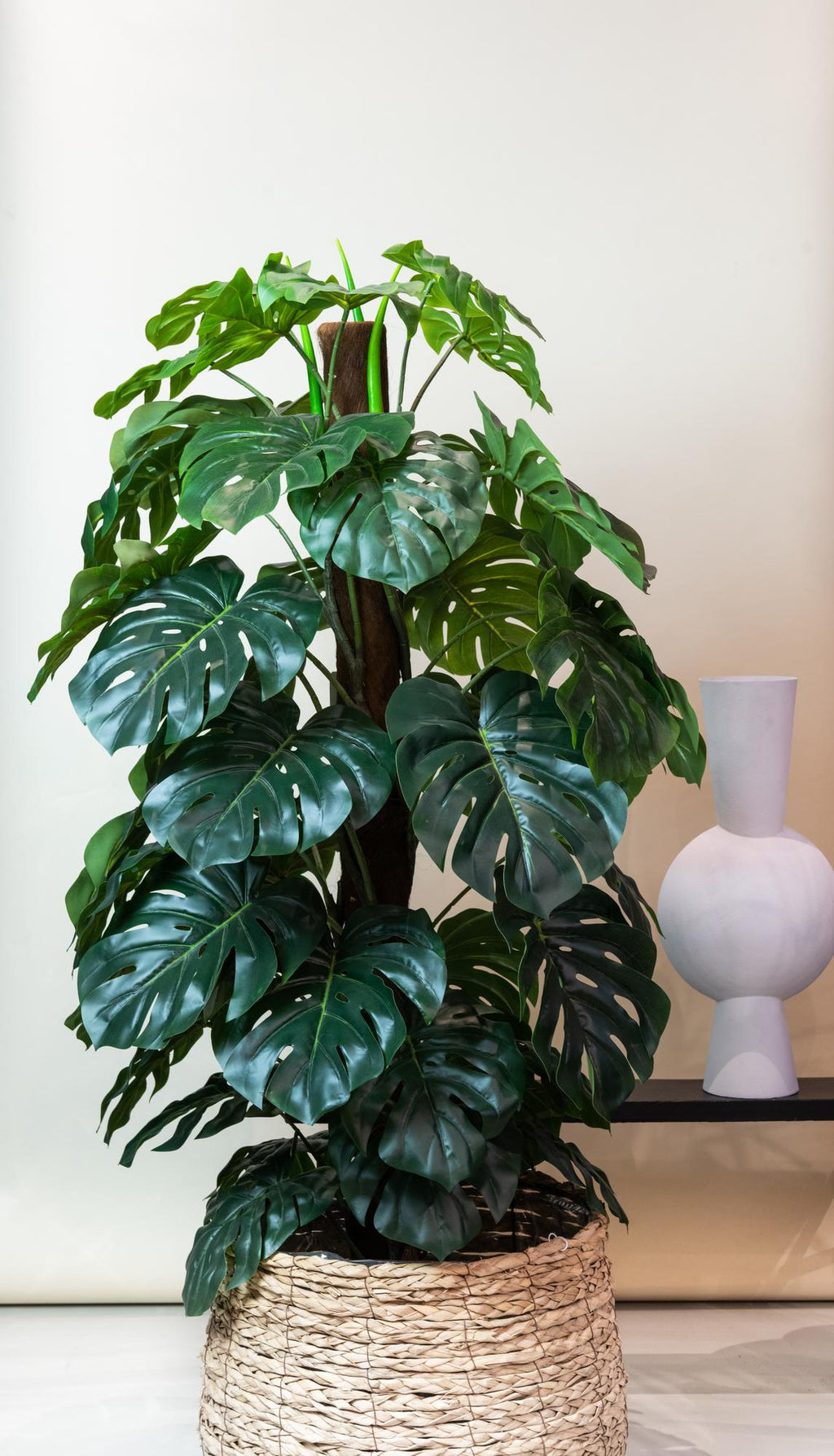 Künstliche Monstera, Löcherpflanze, ca. 150 cm – Ansicht 5