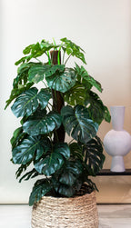 Künstliche Monstera, Löcherpflanze, ca. 150 cm – Ansicht 5