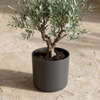 Übertopf elho B.for soft Anthrazit, Ø 18 cm – Ansicht 6