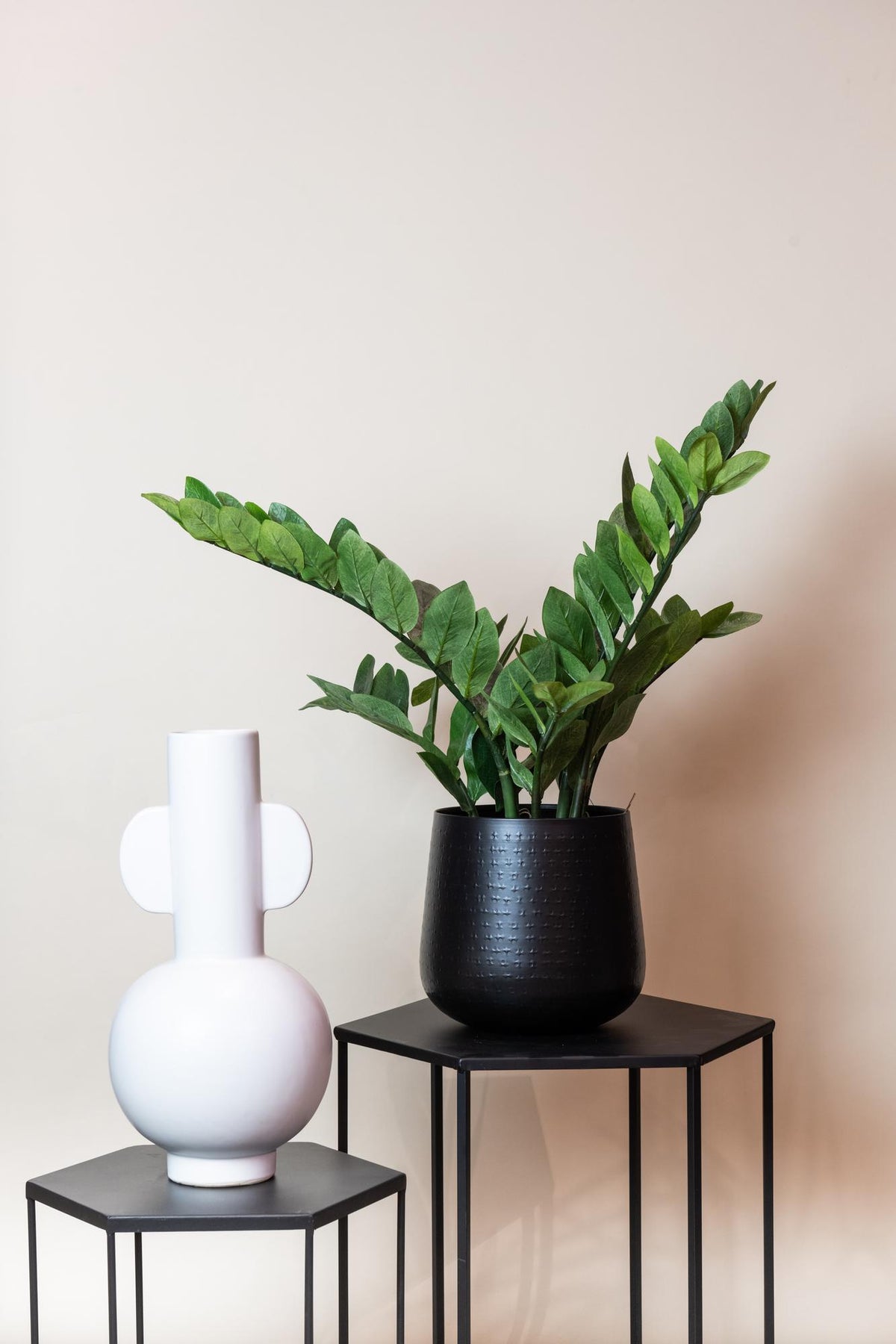 Künstliche Zamioculcas, ca. 70 cm – Ansicht 5
