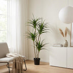 Künstlicher Drachenbaum (Dracaena), ca. 165 cm – weitere Ansicht