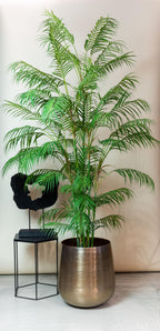 Kunst-Bergpalme Chamaedorea, ca. 180 cm – Ansicht 5