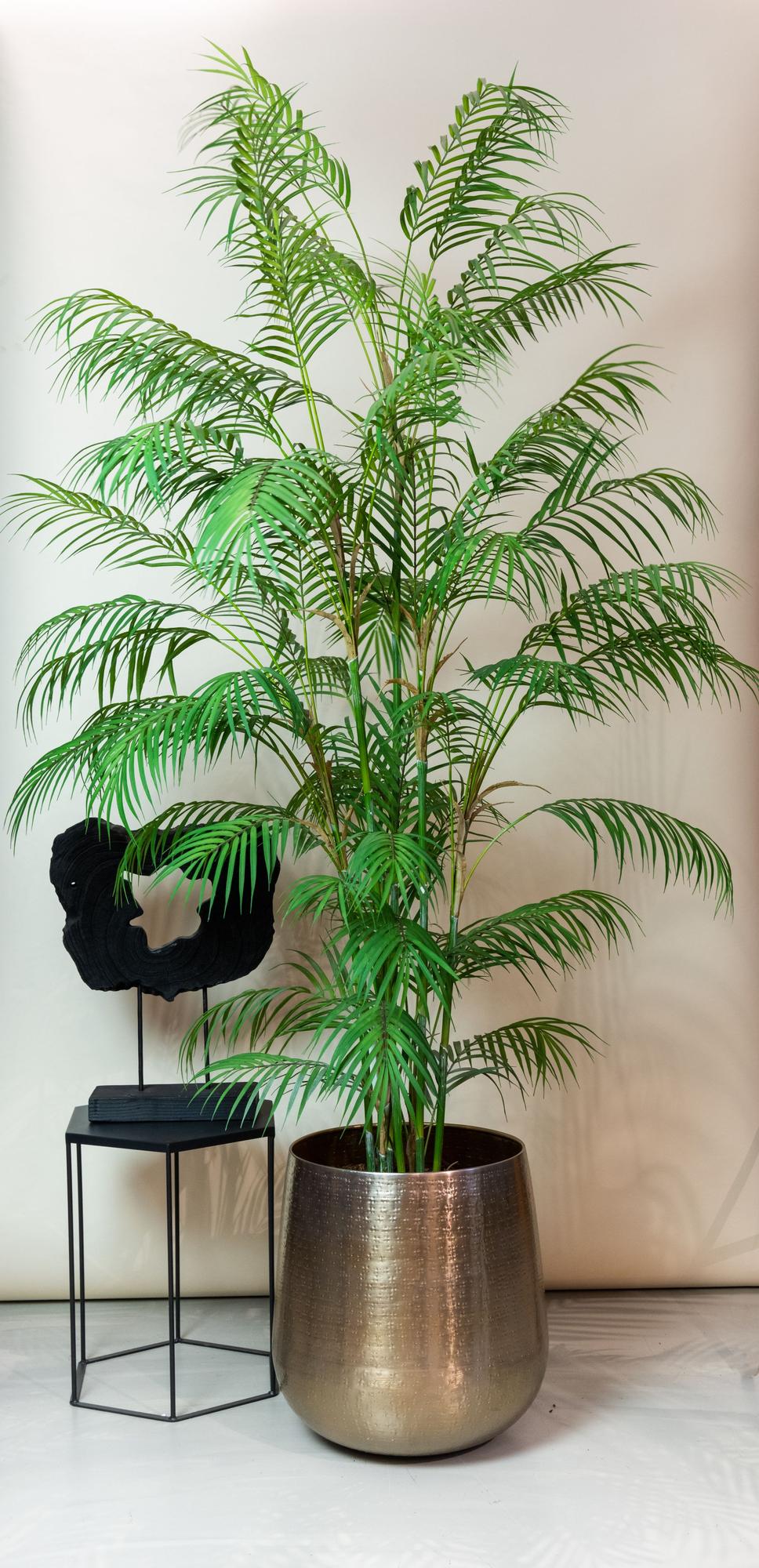 Kunst-Bergpalme Chamaedorea, ca. 180 cm – Ansicht 5