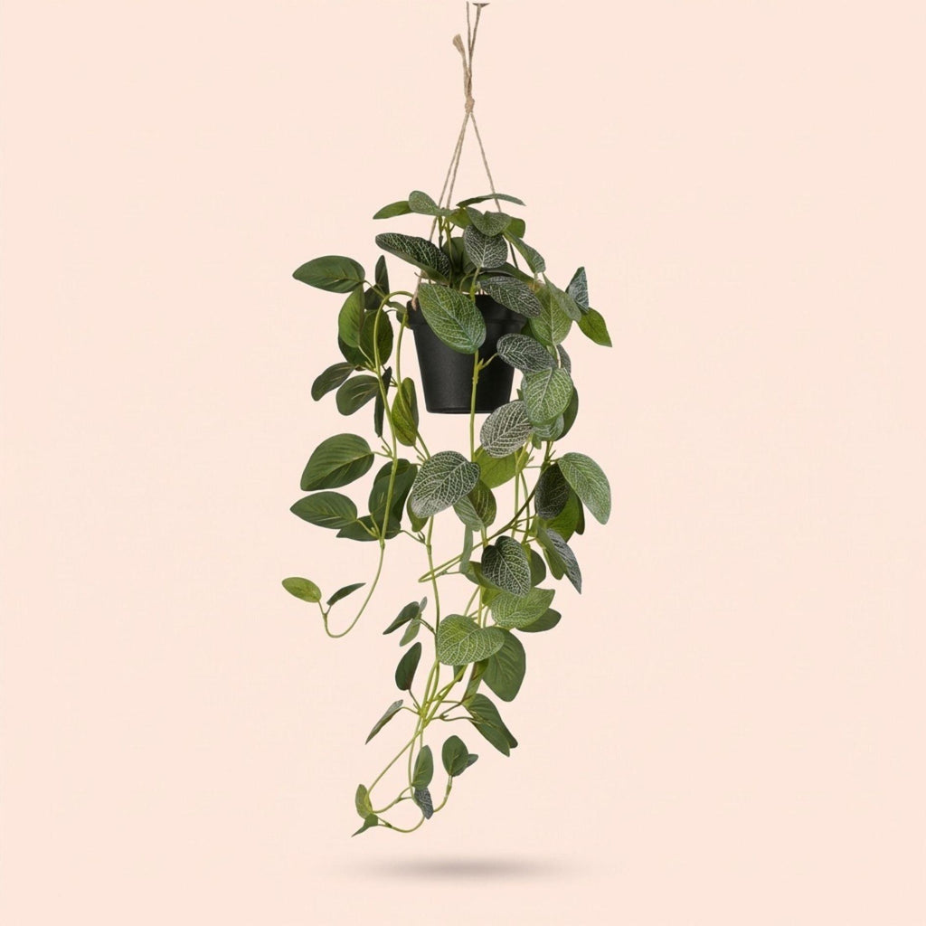 Künstliche Fittonia Hängepflanze, ca. 70 cm – Ansicht 5