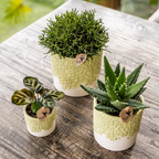 Übertopf Kolibri Home Bloom Grün, Ø 6 cm – Ansicht 7