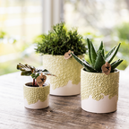 Übertopf Kolibri Home Bloom Grün, Ø 6 cm – Ansicht 6