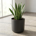 Übertopf elho B.for soft Anthrazit, Ø 14 cm – Ansicht 5