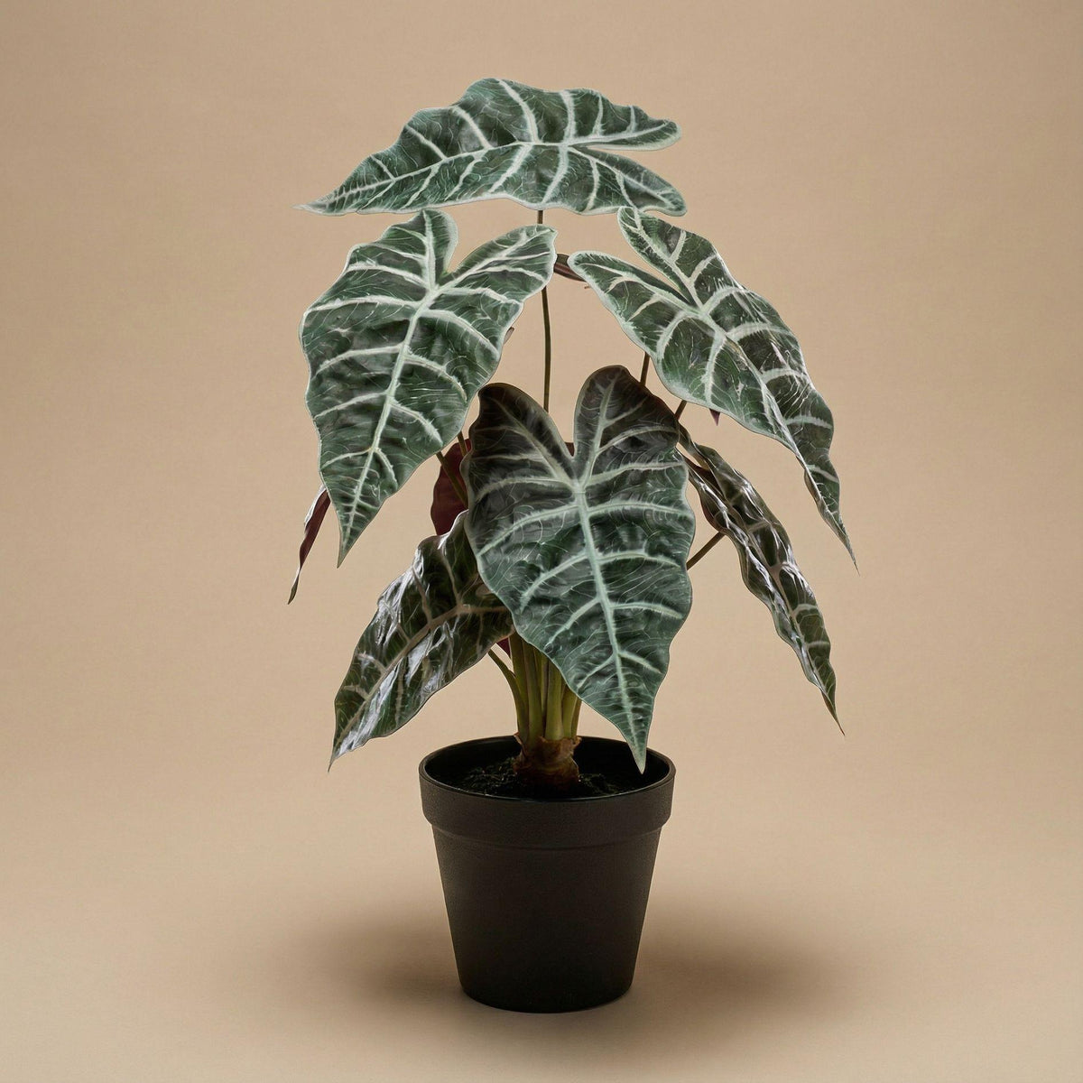 Künstliche Alocasia Busch, ca. 40 cm – weitere Ansicht